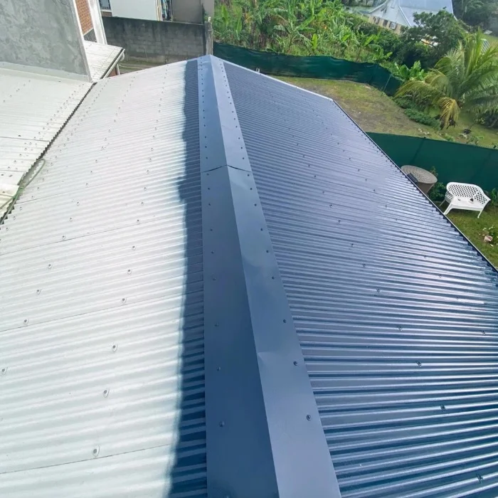 Remplacement ciel de toit en polyuréthane pour voiture en Guadeloupe -  Guadeloupe